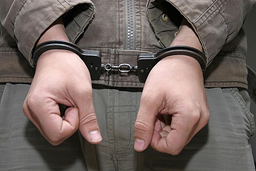 Полиция задержала мужчину, избившего девушку за короткие шорты в Нахабине