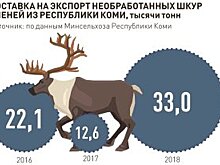 Как будет проходить реконструкция взлетно-посадочной полосы на Соловках
