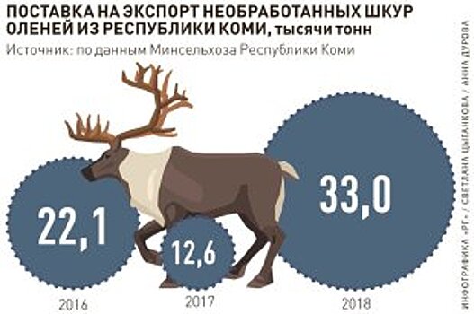 Как будет проходить реконструкция взлетно-посадочной полосы на Соловках