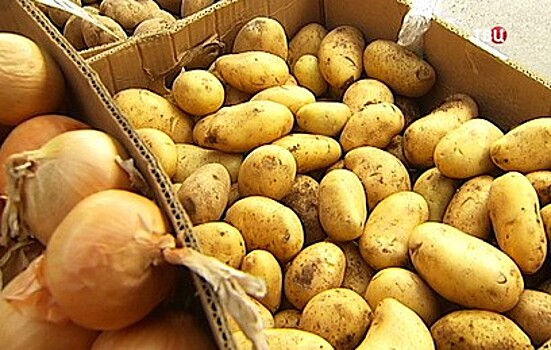 Россия возобновляет поставки египетской картошки