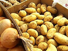 Россия возобновляет поставки египетской картошки