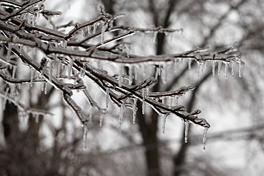 Синоптик предупредил о ледяных дождях в Москве в феврале