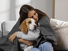 Чем болеют и люди, и их питомцы