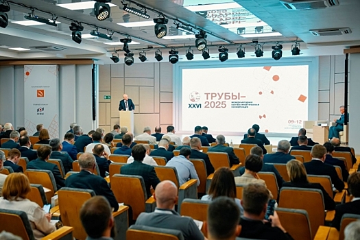 Трубный вызов: что поддержит спрос на стальные трубы в России до 2030 года