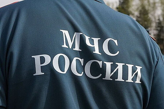 Раскрыто, где может находиться пропавшая в тайге семья Усольцевых