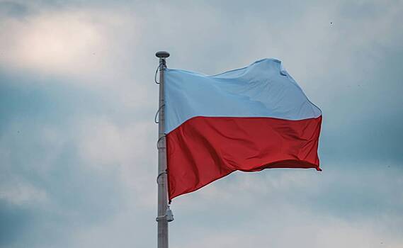 Воюющих за ВСУ поляков освободят от уголовной ответственности