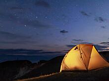 Как пережить ночь в диком лесу: советы опытных туристов