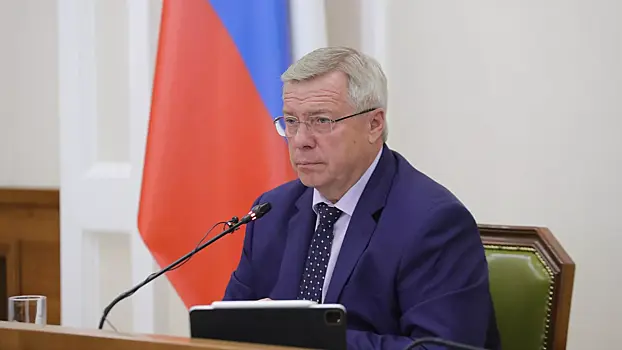 Ростовский губернатор прокомментировал сообщение о громких звуках в небе