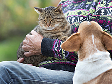 Три подработки, доступные всем