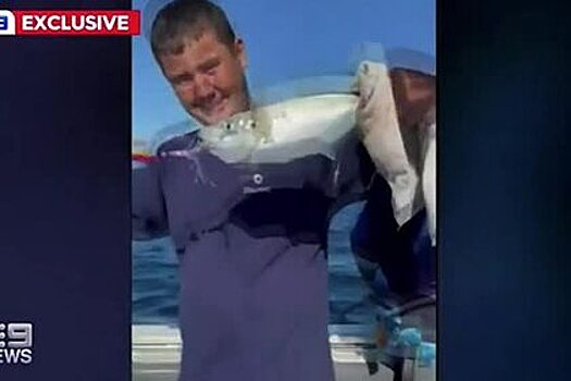 Акула-людоед напала на лодку с семьей и попала на видео