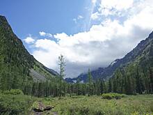 Туристы забрались в тайгу для проведения обряда, не смогли выбраться и попросили помощи
