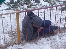В Новосибирске спасатели помогли мужчине, застрявшему головой в заборе