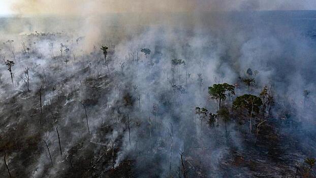 СМИ: дым от горящих лесов Амазонии нарушил работу пожарной авиации