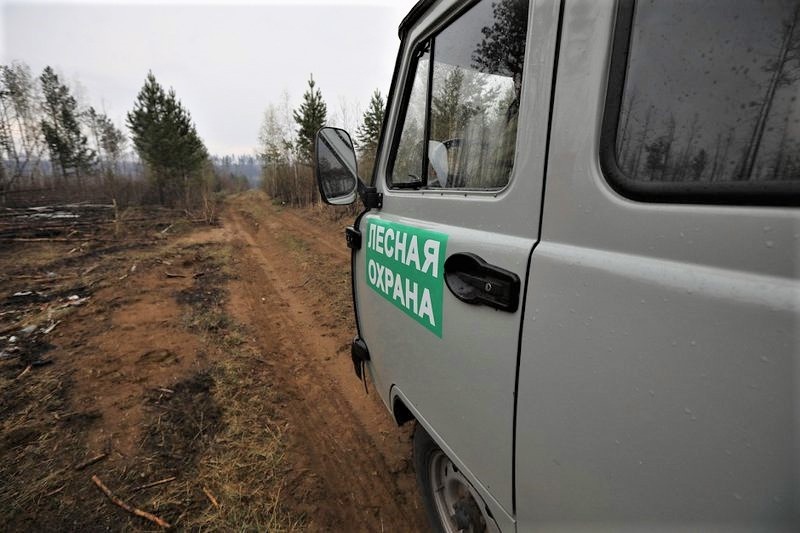 Власти Новосибирской области закупят в 2024 году 29 единиц лесопожарной техники