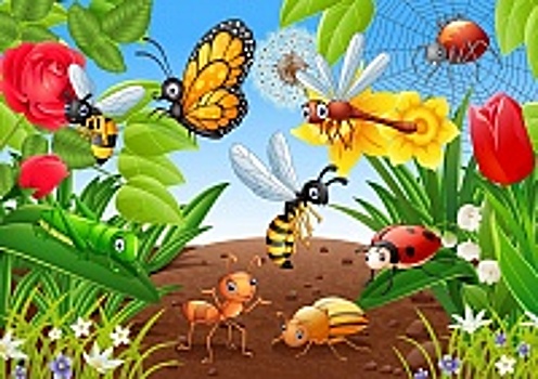 Познавательная программа «Нестрашные насекомые» состоится в клубе «Силуэт» 26 мая