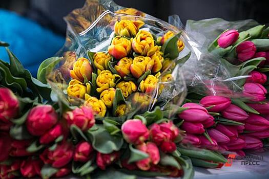 Ямальская колония строго режима потратит почти 150 тысяч на тюльпаны