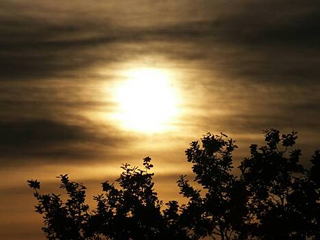 Ученые решили провести пугающую манипуляцию с Солнцем