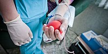 ФМБА внедрило обновленную информационную систему учета доноров и крови в регионах
