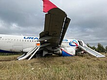 Эксперты рассказали, что будет с самолетом, севшим в поле в Новосибирской области