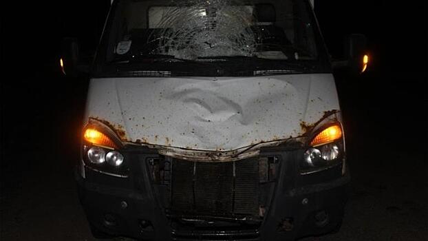 В Кильмезском районе ГАЗ насмерть сбил пешехода на трассе