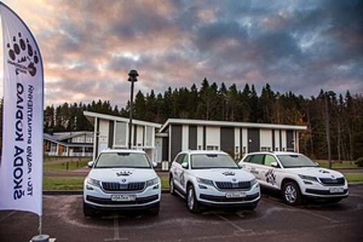 Тест-драйв Skoda Kodiaq: стильный медведь