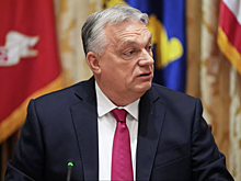 Это была огромная ошибка: премьер Венгрии призвал остановить украинский конфликт