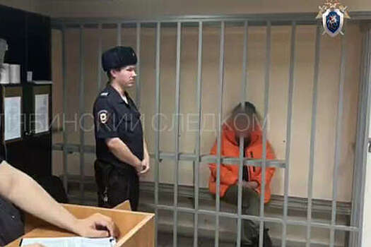 СК РФ: обвиняемая в убийстве пятилетней дочери арестована до 3 января