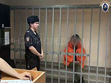 СК РФ: обвиняемая в убийстве пятилетней дочери арестована до 3 января