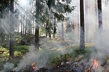 В Приангарье вдвое выросла площадь лесного пожара вблизи поселка