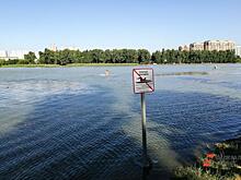 Фото кубанского депутата с осетром стало поводом для проверки прокуратуры