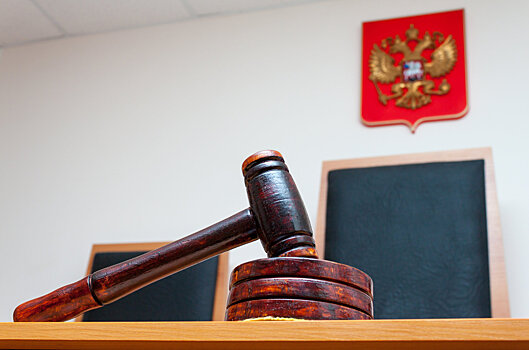 "РГ" публикует закон о выводе бизнеса из-под уголовной статьи об ОПГ