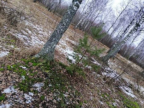 Нижегородская область встречает весну в январе