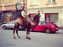 19 фото хипстеров, которые зашли слишком далеко!