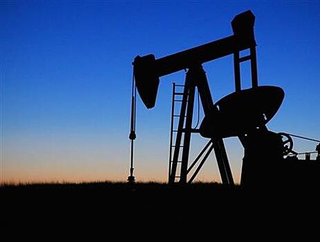 Компанию, "сдавшую" трех полковников ФСБ, лишают нефтяного участка