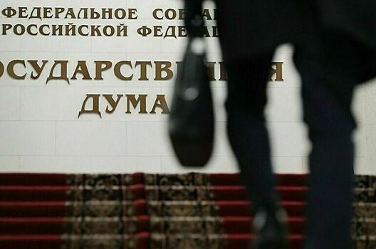 У вице-спикеров Госдумы появились новые обязанности