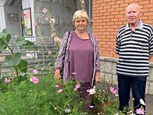 Победителей конкурса на лучший палисадник в Некрасовке выбрали путем голосования