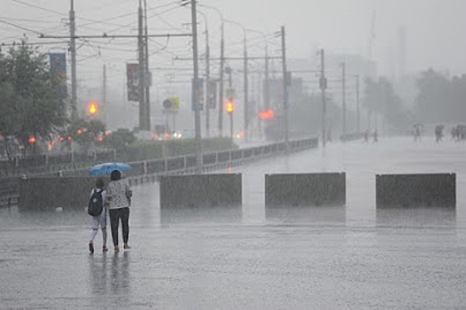 Волгоградскую область в выходные накроет дождь и ветер