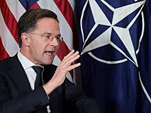 Генсек НАТО раскрыл связанную с Гренландией деталь переговоров с Трампом