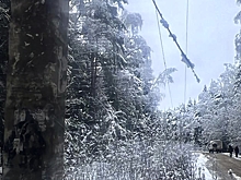 Во Владимирской области снегопад привел к отключениям света