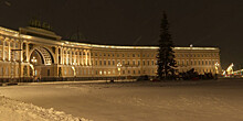 Главную ель Петербурга установили на Дворцовой площади