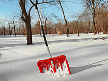 Кардиологи рассказали, почему опасно убирать снег
