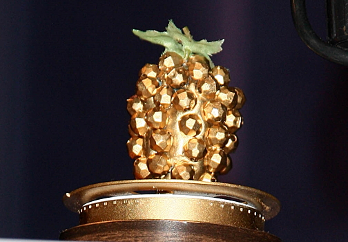 Названы номинанты премии «Золотая малина 2023»
