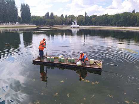 В Самаре началась биологическая очистка водоемов