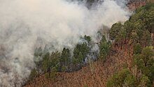 На Дальнем Востоке потушили пять лесных пожаров
