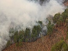 На Дальнем Востоке потушили пять лесных пожаров