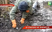 Поисковики Татарстана в ходе весенних экспедиций нашли останки 190 солдат Великой Отечественной войны — видео