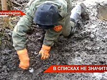 Поисковики Татарстана в ходе весенних экспедиций нашли останки 190 солдат Великой Отечественной войны — видео