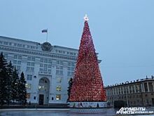 Виталий Милонов высказался о кемеровской ёлке за 18 млн рублей