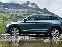 Неповоротливый, как автобус: Чем Skoda Kodiaq не устраивает автомобилистов