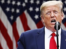 Дональд Трамп обратился к экс-чемпиону UFC в день выборов президента США